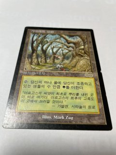 他言語コーナー - MTG専門店 Initiative (Page 2)