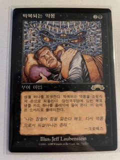 他言語コーナー - MTG専門店 Initiative