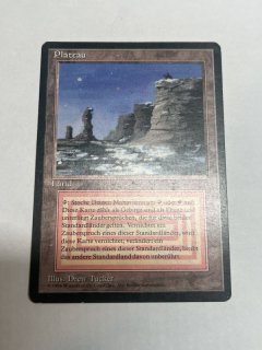 デュアルランド/Dual Land - MTG専門店 Initiative