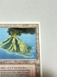 画像3: 《Volcanic Island》[3ED] MP (3)