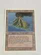 画像1: 《Volcanic Island》3ED NM (1)