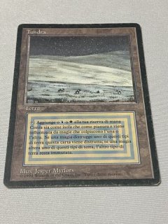 デュアルランド/Dual Land - MTG専門店 Initiative